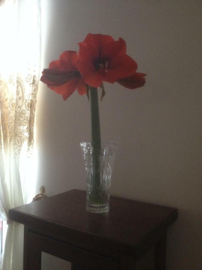 Beb Binario39 Bed and Breakfast Napels Buitenkant foto
